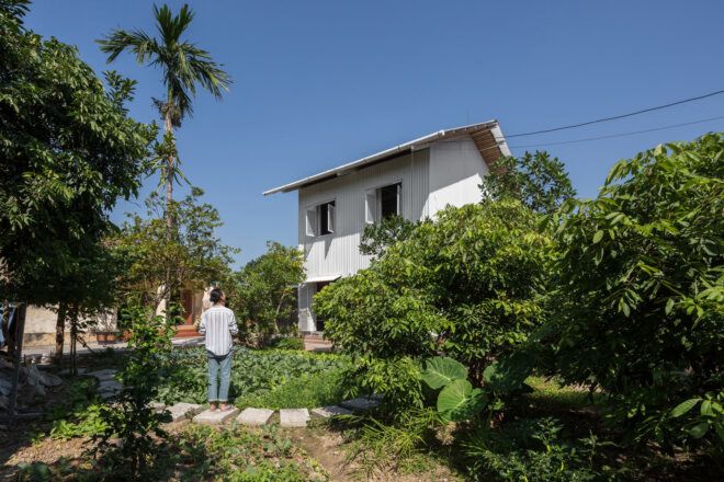 tall plants and palm trees near two-story white home
