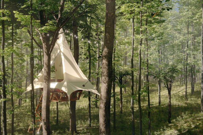 rendering of tent-like treehouse in a forest