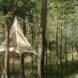 rendering of tent-like treehouse in a forest