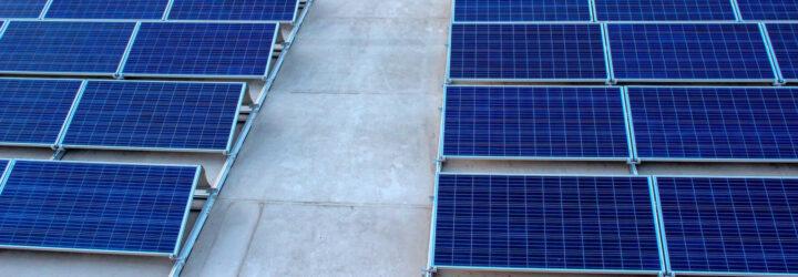 rows of solar panels