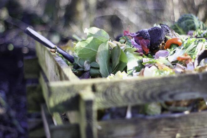 close-up of outdoor compost pile