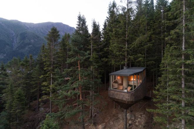 small timber treehouse in a forest