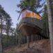 curving timber treehouse on stilts