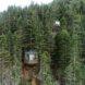 two timber and glass treehouses in a forest
