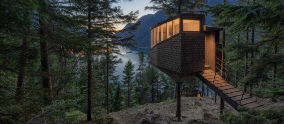 small timber treehouse in a forest