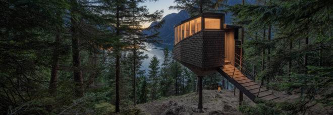 small timber treehouse in a forest