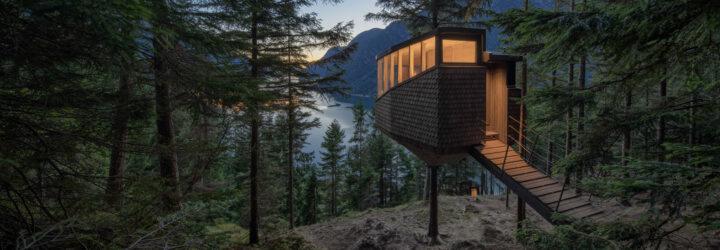 small timber treehouse in a forest