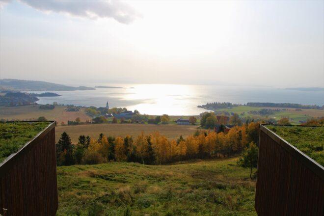 view from hotel rooms toward forest and water