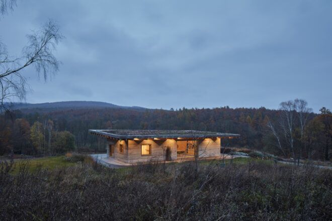 single-story cabin on grassy lot