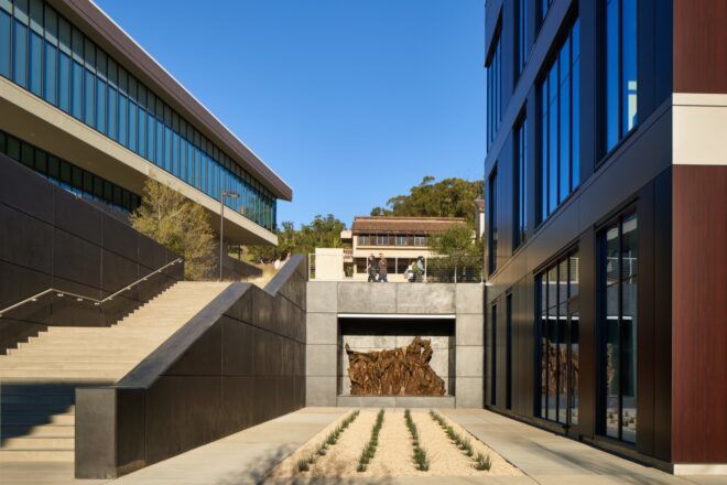 small garden in courtyard between two buildings