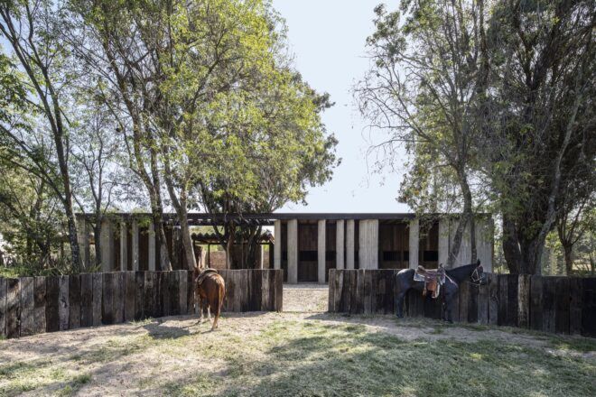 horses near wood, steel and glass home