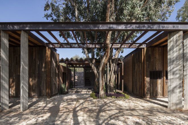 trees growing in courtyard