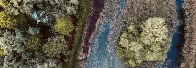 Aerial view of stream running through forest