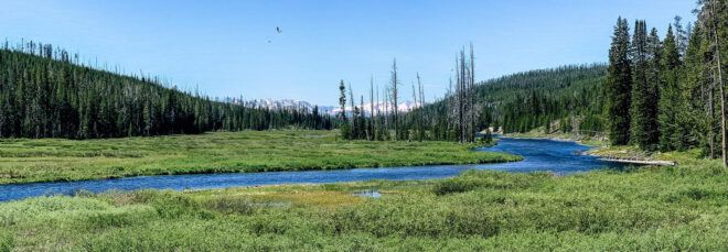 river running through Yellowstone National Park
