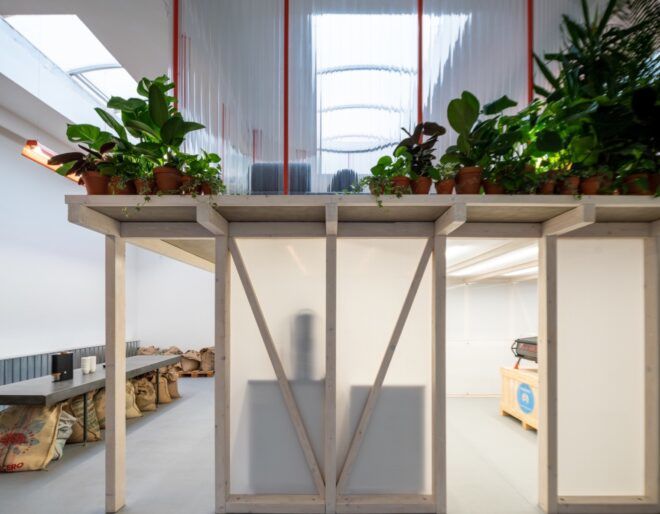 hanging plants above white office space