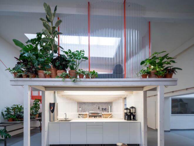 white room with lofted area covered in plants above