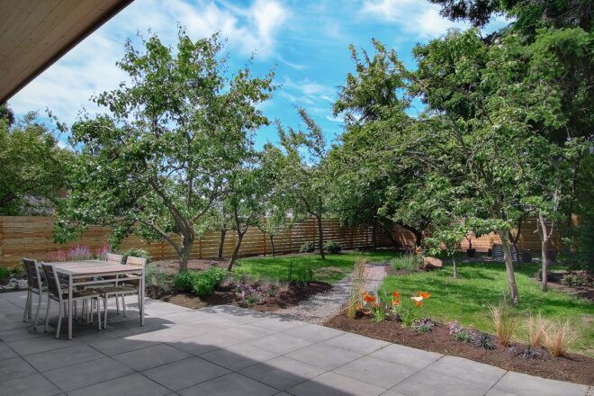 A lush green backyard with concrete patio and path.
