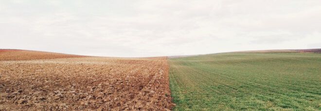 half of farm land with soil and half the farmland with crops