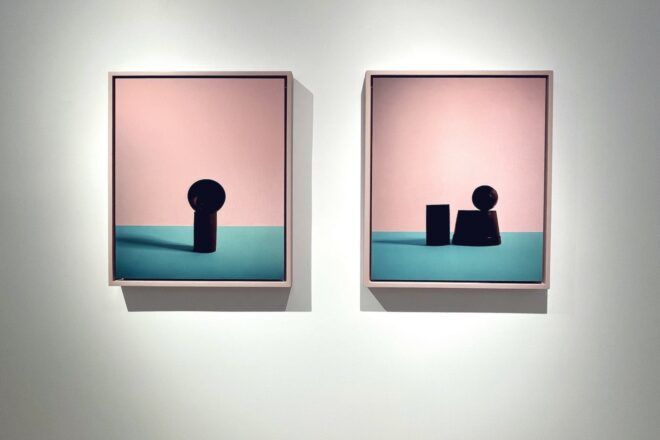 art with still-life objects on pink and blue backgrounds