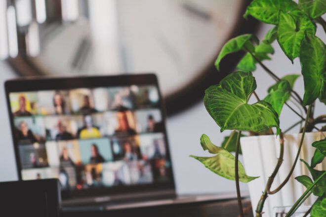 virtual conference video screen with plant in foreground