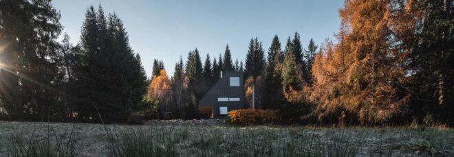 angled black cabin in forest during autumn
