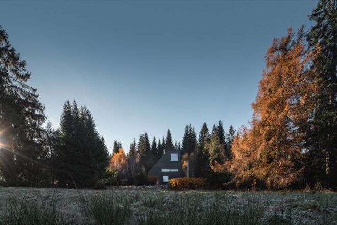 angled black cabin in forest during autumn