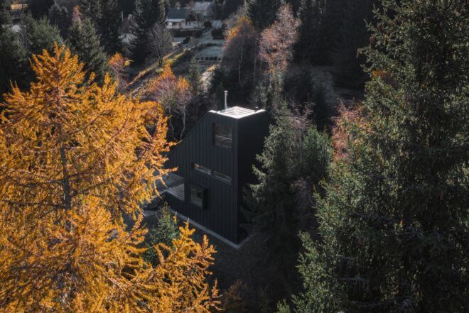 tall black chalet in forest