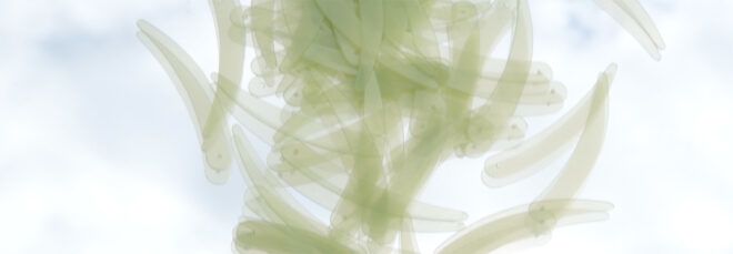 scattered green sequins on mirrored surface
