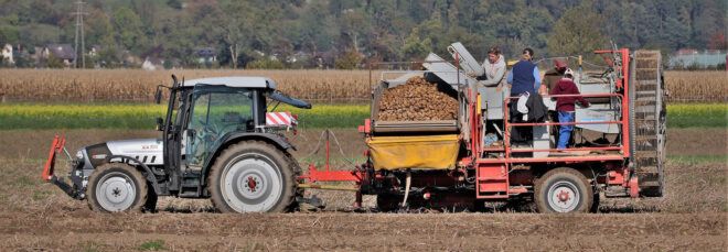 farmers on tractor harvesting potatoes