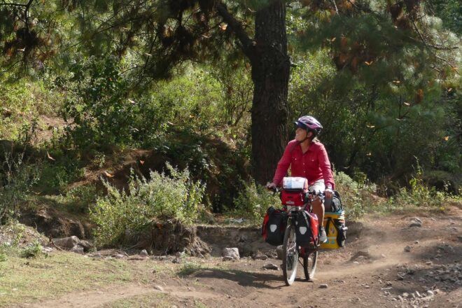 Dyman riding bike through forest filled with monarch butterflies