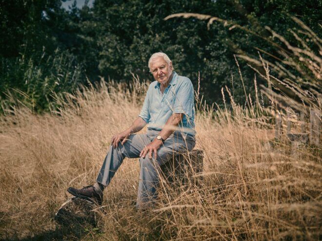 Sir David Attenborough sitting on log in forest