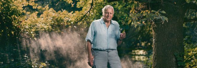 Sir David Attenborough in forest