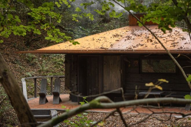 traditional wood sauna building in a forest