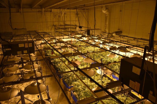 An indoor marijuana growth operation with arrays of indoor lighting and planters.