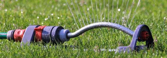 sprinkler on nonfunctional turf