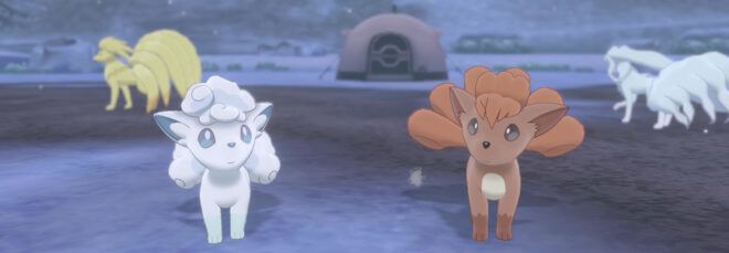 four Pokémon creatures at a virtual campsite