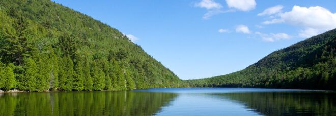 trees and lake in Acadia National Park