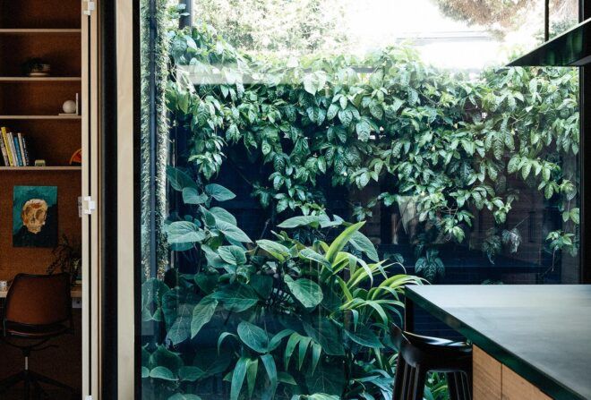 A large interior window looking out on a lush garden.