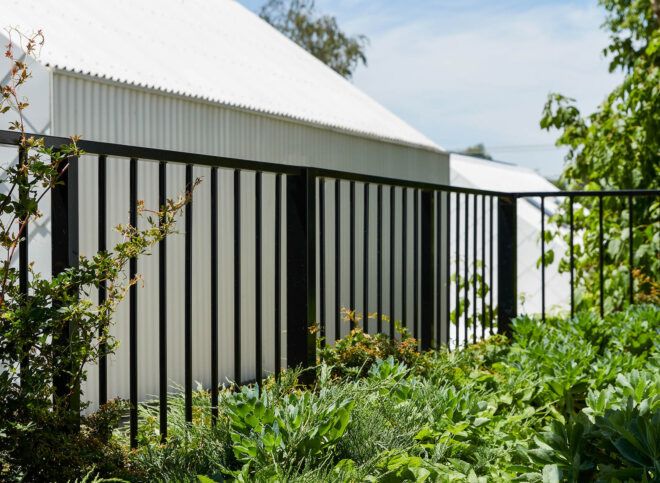 An outdoor green garden surrended by an iron fence.