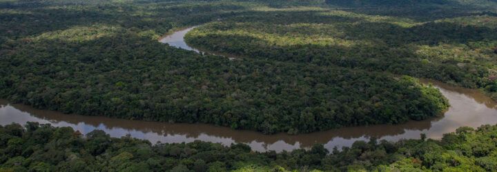 winding river running through dense forests in Chiribiquete National Park