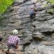 people climbing a rock wall in forest