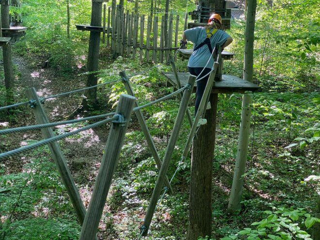 person walking on narrow wood branches between trees in a forest