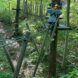person walking on narrow wood branches between trees in a forest