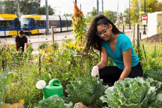person tending to urban garden