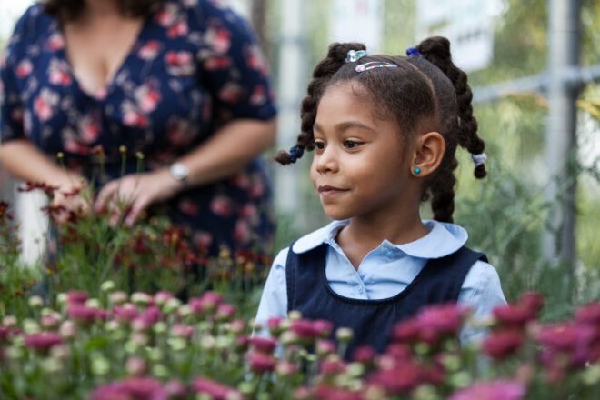 child looking at flowers in a park