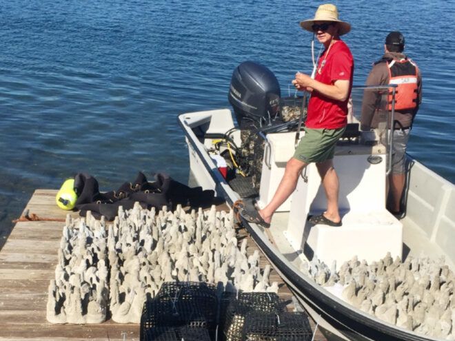 person on boat with concrete oyster reefs