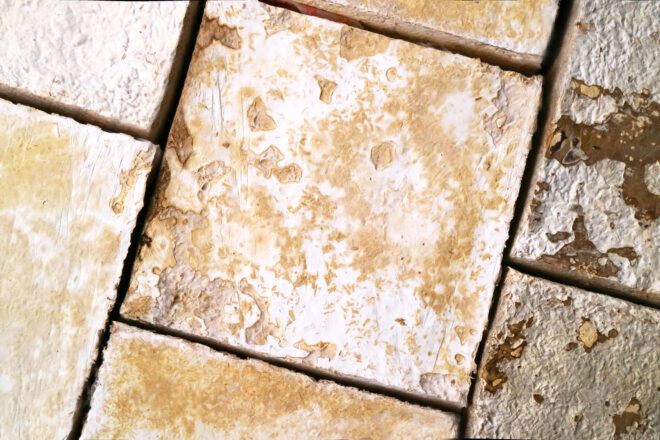 close-up of mycelium insulation blocks