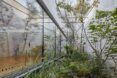 plants growing behind glass wall