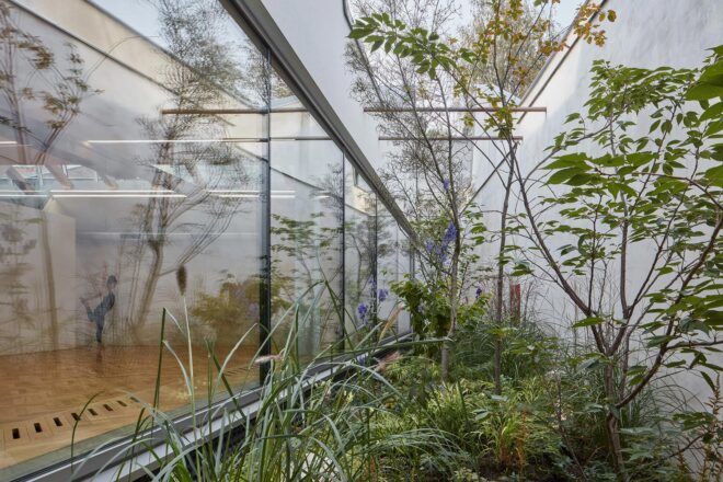 plants growing behind glass wall