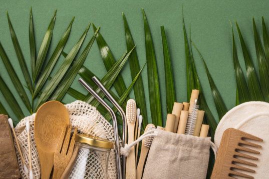 zero-waste products on green background